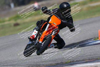 media/Mar-24-2025-2WTD (Mon) [[55b4b08488]]/C Group/1040am (Sunset)/